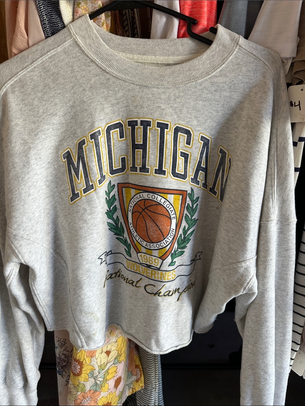 Abercrombie and Fitch Michigan Gray Crewneck Sweatshirt